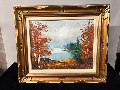 Lot #849 (1 of 12)