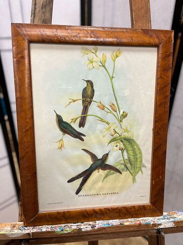 Lot #12 (1 of 14)