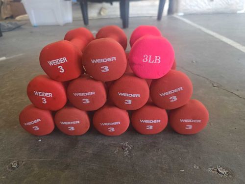 Lot #23 (1 of 3)
