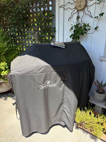 Lot #254 (1 of 9)