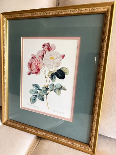 Lot #8 (1 of 9)