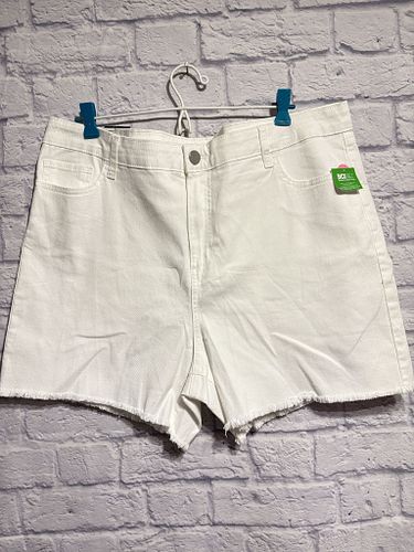 Lot #29 (1 of 10)