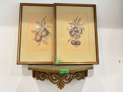 Lot #321 (1 of 7)