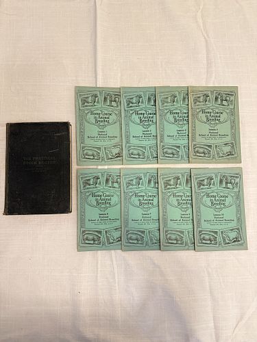 Lot #40 (1 of 12)