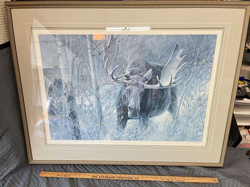 Lot #6 (1 of 6)