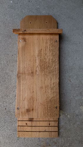 Lot #49 (1 of 5)
