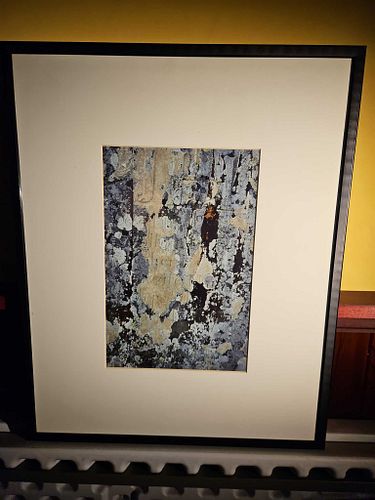 Lot #41 (1 of 4)