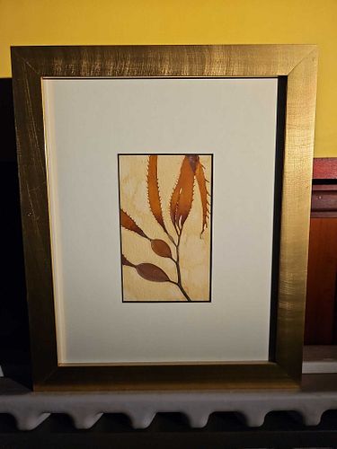 Lot #42 (1 of 3)