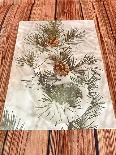 Lot #7 (1 of 4)