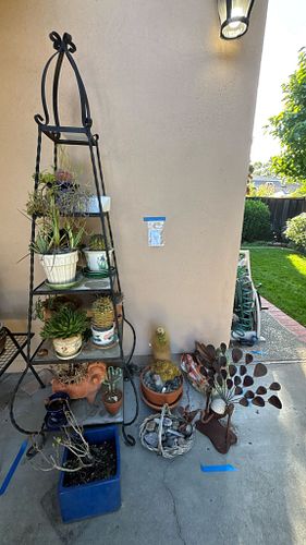 Lot #528 (1 of 11)