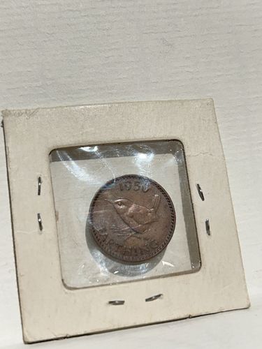 Lot #11 (1 of 3)