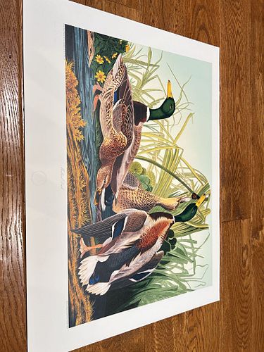 Lot #35 (1 of 5)