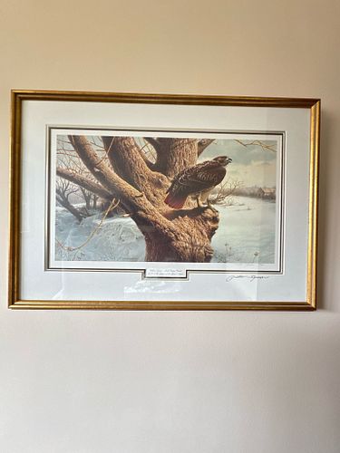 Lot #16 (1 of 6)
