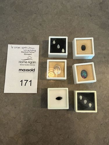 Lot #171 (1 of 17)