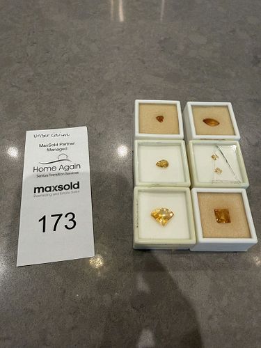 Lot #173 (1 of 17)