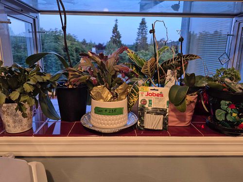 Lot #235 (1 of 7)