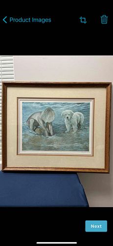 Lot #5 (1 of 6)