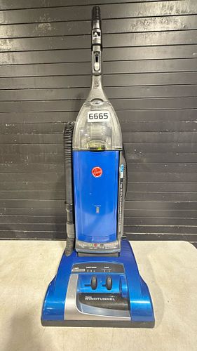 Lot #6665 (1 of 8)