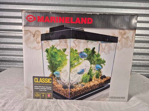 Lot #61 (1 of 6)