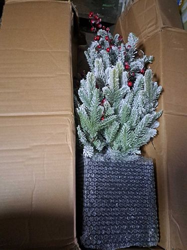 Lot #62 (1 of 3)