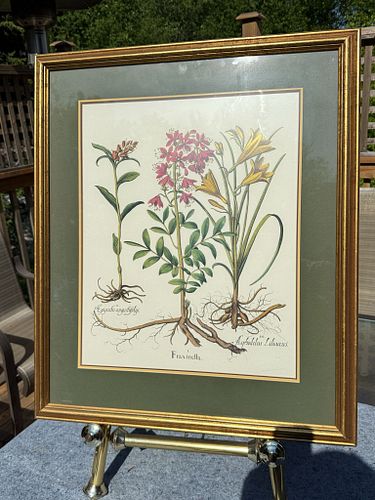 Lot #411 (1 of 3)