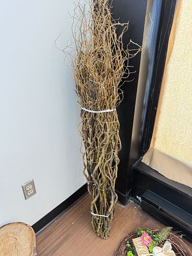 Lot #41 (1 of 3)