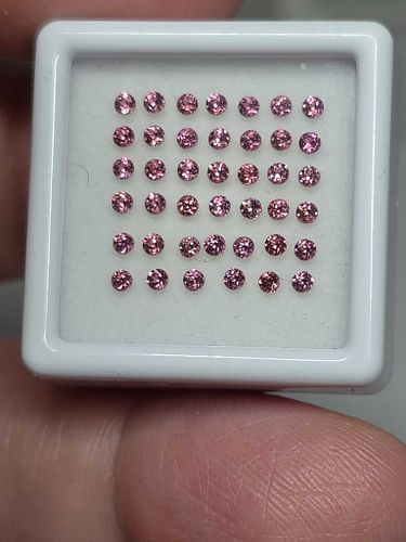 Lot #2 (1 of 9)