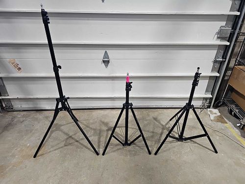 Lot #46 (1 of 8)