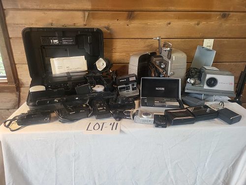 Lot #41 (1 of 12)