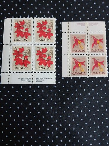 Lot #20 (1 of 5)