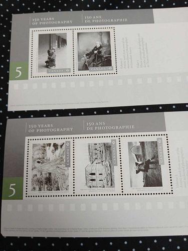 Lot #5 (1 of 7)