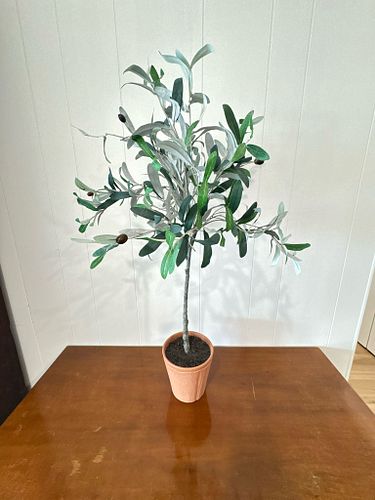 Lot #5 (1 of 3)
