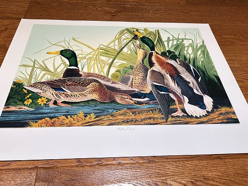 Lot #61 (1 of 5)