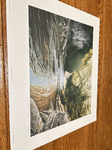 Lot #67 (1 of 5)