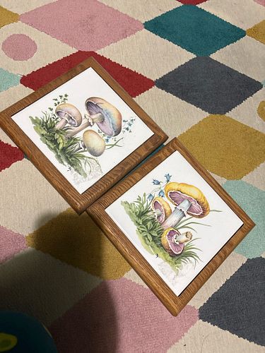 Lot #71 (1 of 4)