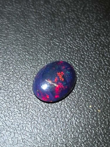 Lot #25 (1 of 8)