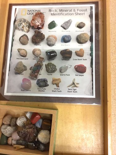 Lot #58 (1 of 3)