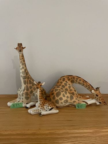 Lot #111 (1 of 5)