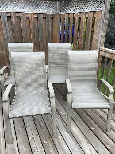 Lot #48 (1 of 4)