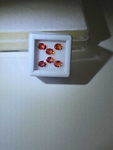 Lot #18 (1 of 8)
