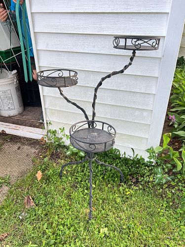 Lot #79 (1 of 3)
