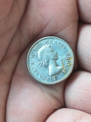 Lot #112 (1 of 3)