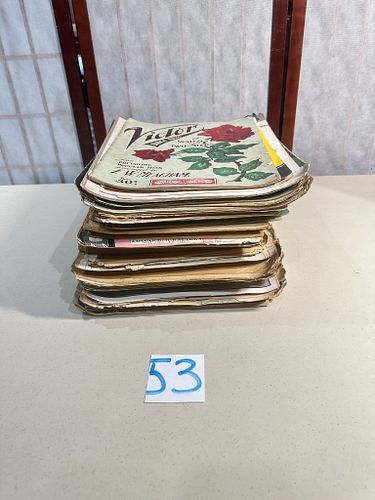 Lot #53 (1 of 5)