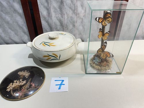 Lot #7 (1 of 7)