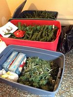 Large plastic blue, red, and gray storage bins holding artificial green Christmas tree branches, coiled light strands, and red metal tree stands