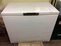 Closed white Woods chest freezer showing minor wear and slight discoloration near the bottom.