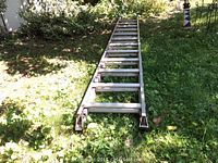 Full view of the aluminum extendable ladder laid flat on the grass show the overall length and structure.