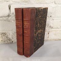 Two brown and black marbled hardcover books with brown leather spines standing upright against a white brick wall. Gold embossed text visible on spine.
