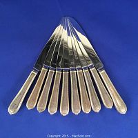 Full set of 10 knives fanned out on blue background showing blade and handle.