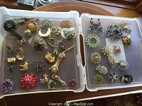 Top view of all costume jewelry brooches spread in a plastic container, showing a variety of designs including floral, animals, and abstract.